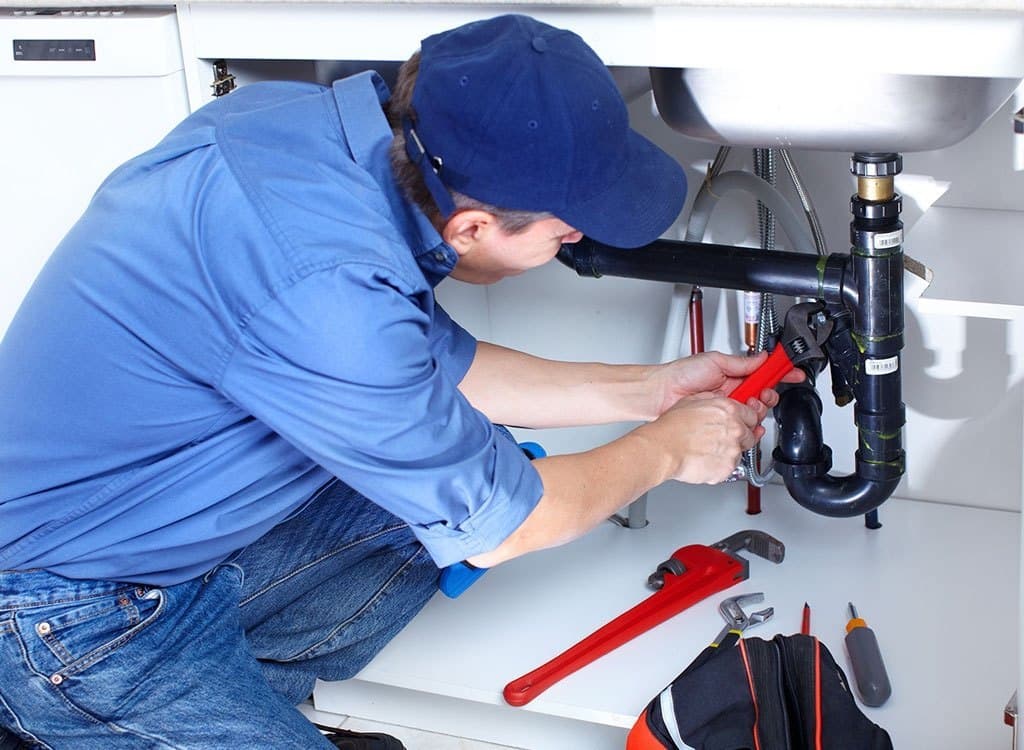 Professional plumber working